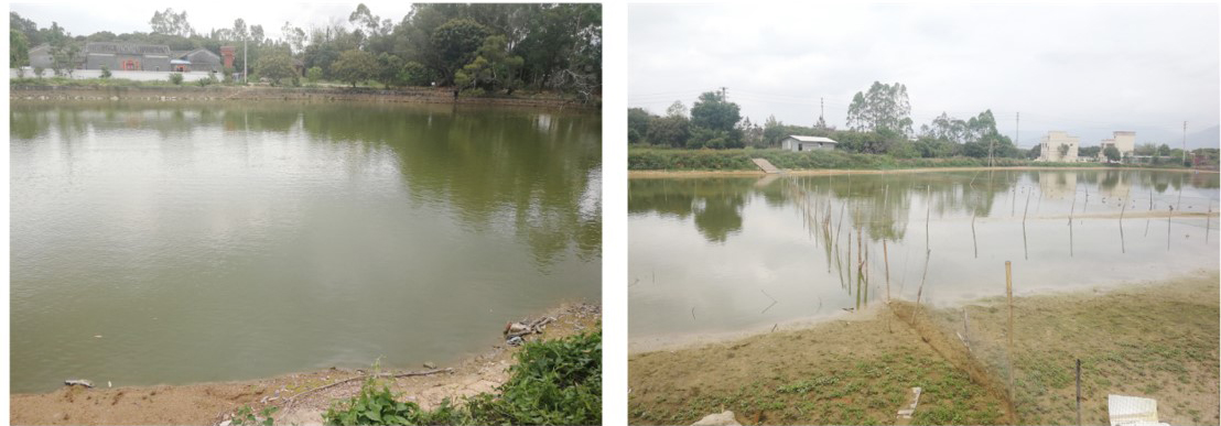 下埔景觀修復(fù)前