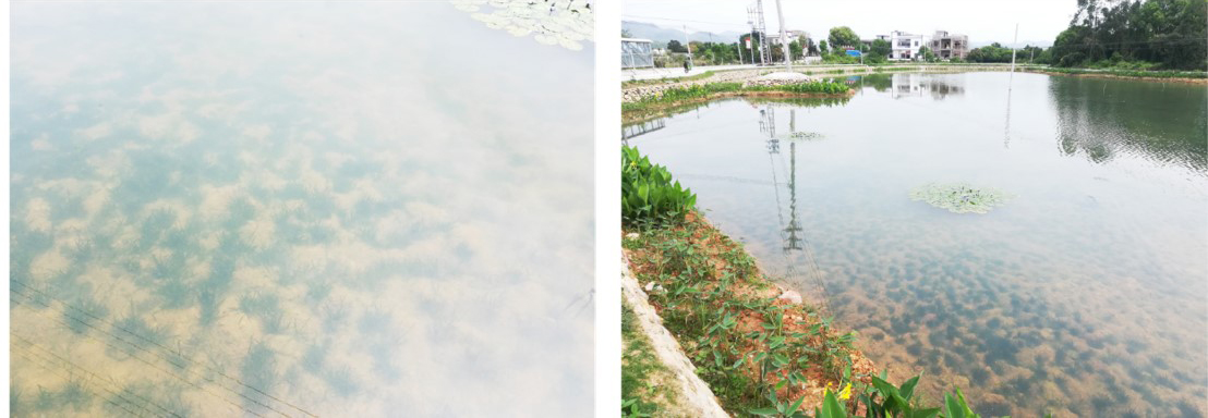 下埔景觀修復(fù)后